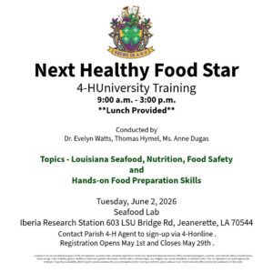 Image: Next Health Food Star flyer