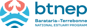 Image: BTNEP logo