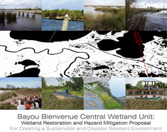 Image: Bayou Bienvenue Central Wetland Unit cover.