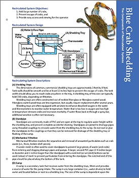 Image: Blue Crab Shedding fact sheet