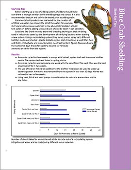 Image: Blue Crab Shedding fact sheet