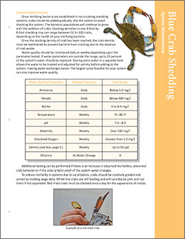 Image: Blue Crab Shedding fact sheet