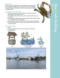 Image: Blue Crab Shedding pdf first page