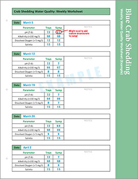 Image: Weekly Worksheet with Example