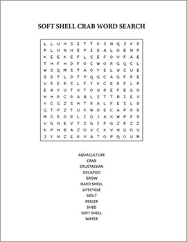 Image: Word Search