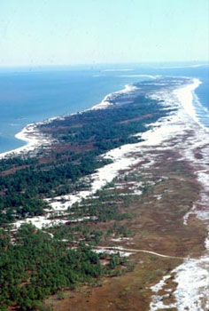 Photo: Chandeleur Island view