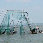 Photo: Derelict boat