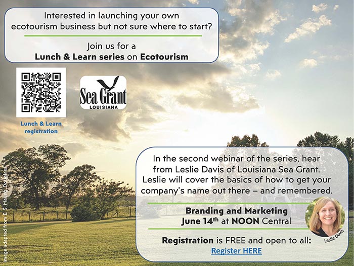 Image: Ecotourism Lunch & Learn Series: Branding and Marketing