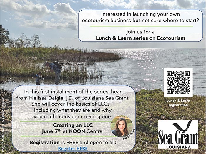 Image: Ecotourism Lunch & Learn Series: Creating an LLC