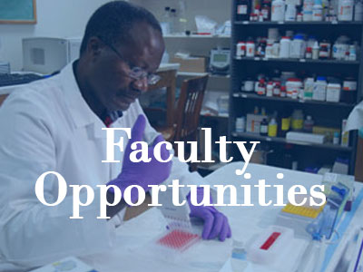 Faculty Opportunities