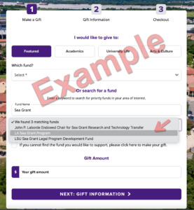 Image: Donation example 