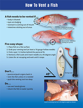 Image: Fish Venting fact sheet