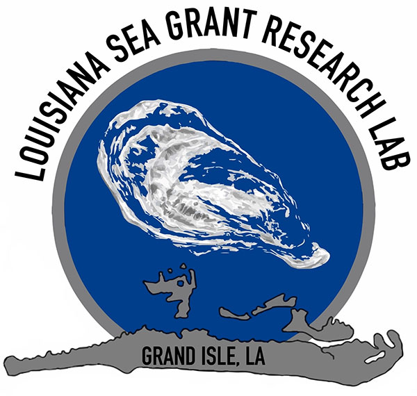 Image: Research Lab logo