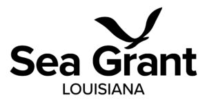 Image: LSG logo