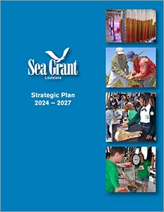 Image: Cover of Louisiana Sea Grant Strategic Plan, 2024-2027