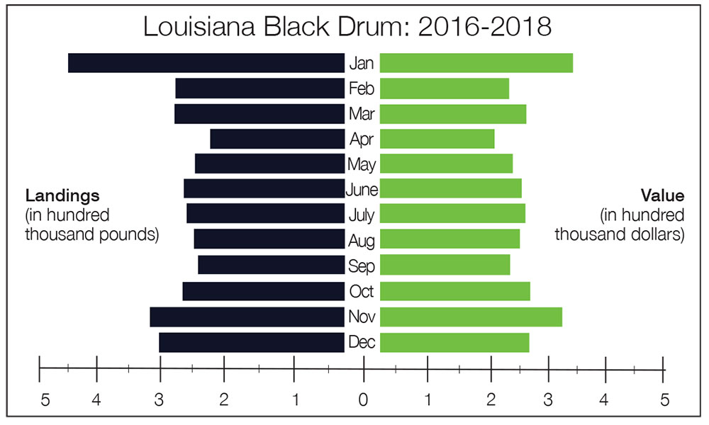 Louisiana Black Drum: 2016-2018