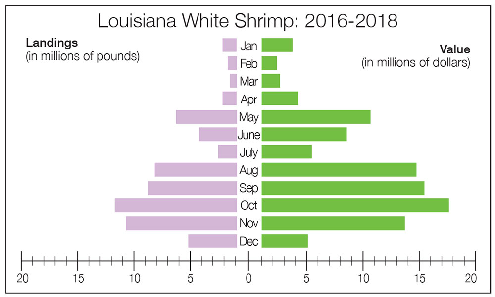Louisiana White Shrimp: 2016-2018
