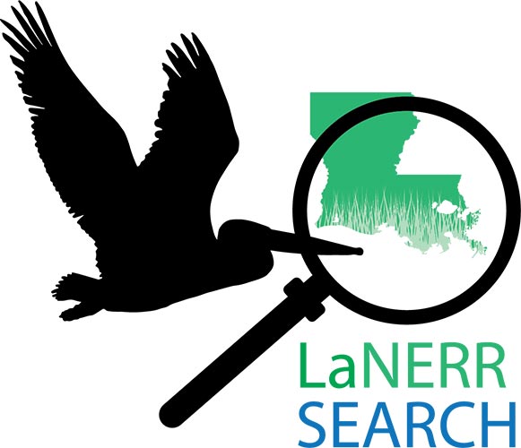 LaNERR Search logo