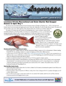 Image: Lagniappe April 2025 first page