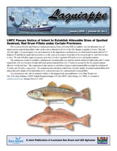 Image: Lagniappe cover page