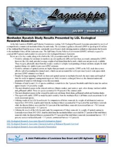 Image: Lagniappe July 2025 cover page