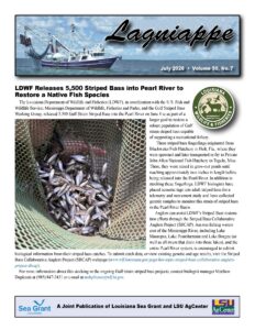 Image: Lagniappe July 2026 cover page
