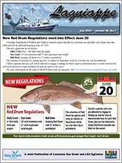 Image: Lagniappe, July 2024