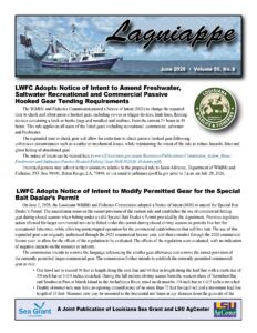 Image; Lagniappe June 2026 cover page