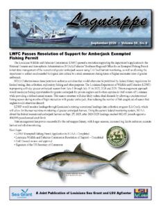 Image: Lagniappe cover page