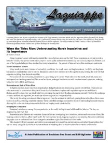 Image: Lagniappe Sept. 2025 cover page