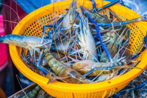 Image: raw shrimp in a yellow basket.