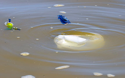 Photo: Marine Litter