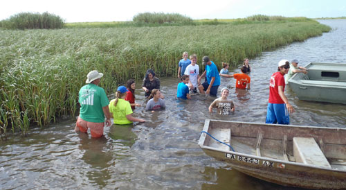 Photo: Marsh Maneuvers