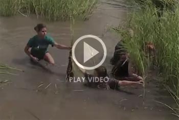 Marsh-Maneuvers-video