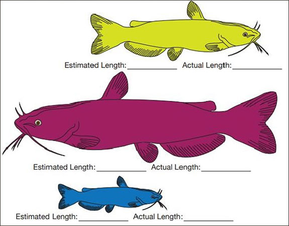 Measuring a Fish - Louisiana Sea Grant