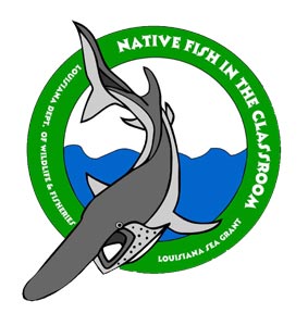 Native-Fish-logo