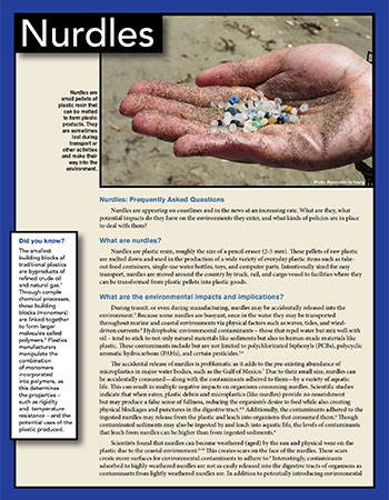 Image: cover of Nurdles info sheet