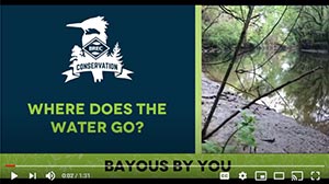 OC 2020 - BREC Conservation video