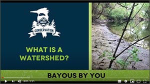 OC 2020 - BREC Conservation video