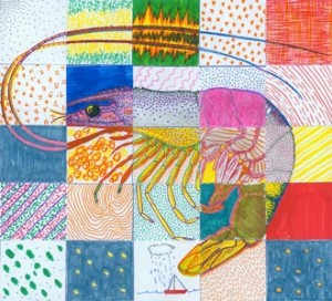 OC Sea Puzzle - Shrimp