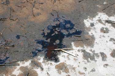 Oil-Spill-Sand