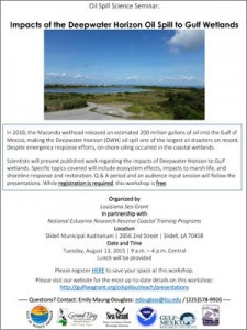 Oil-Spill-Seminar-Impacts-Wetlands-flyer