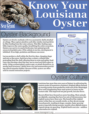 Oyster Fact Sheet