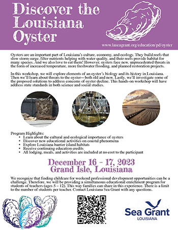 Image: Teacher Oyster workshop