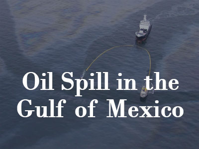 Oil Spill in the Gulf of Mexico