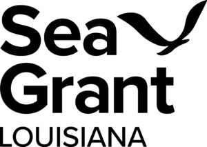 Image: LSG stacked logo