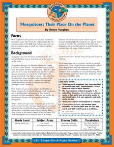 Image: Mosquito folio cover.