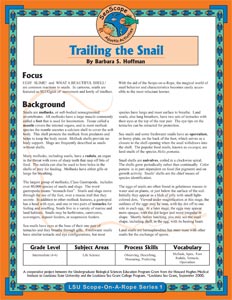 Image: Snail folio cover.