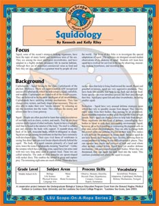 Image: Squid folio cover.