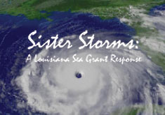 Image: Sister Storms video cover.
